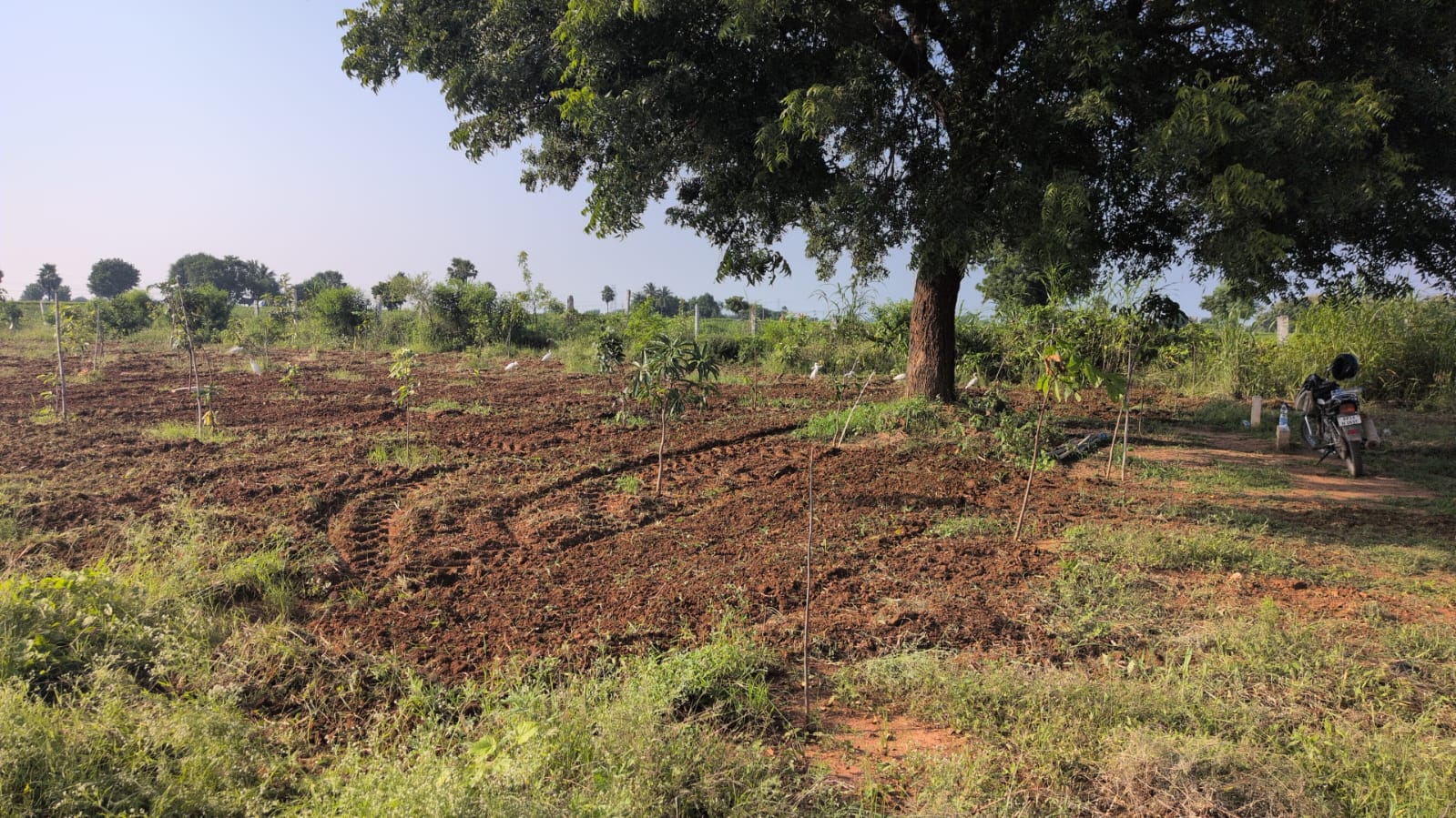 Siri Vanam site photo 8
